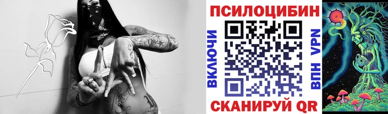 Купить где  Ишимбай  Псилоцибиновые грибы мицелий 