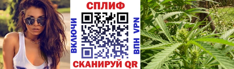 Купить где  Ишимбай  Бошки марихуана Amnesia 